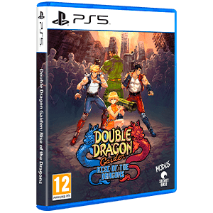 Double Dragon Gaiden: Rise of the Dragons Playstation 5 Edizione Europea [PRE-ORDINE] (8506875380048)