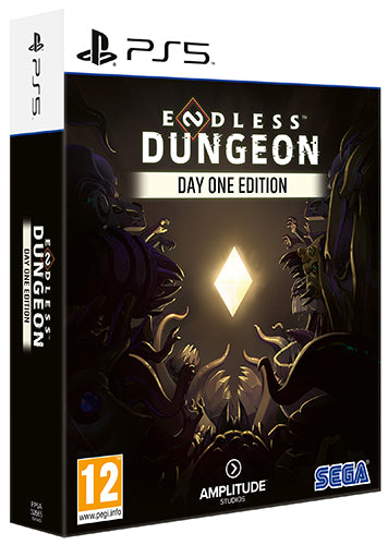 Endless Dungeon Day One Edition Playstation 5 [PREORDINE] (8587046158672)