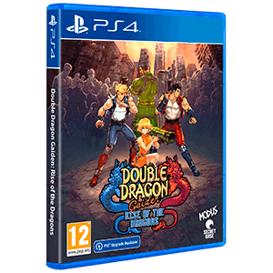 Double Dragon Gaiden: Rise of the Dragons Playstation 4 Edizione Europea [PRE-ORDINE] (8506873938256)