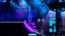 Eden Genesis Nintendo Switch Edizione Europea [Pre-ordine]