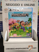 minecraft ps5 (9821493363024)