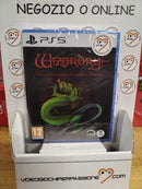 Wizardry Proving Grounds of the Mad Overlord Playstation 5 Edizione Europea (9644483838288)