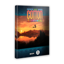 Cotton Reboot! Nintendo Switch 2 Edizione Europea [Pre-ordine]