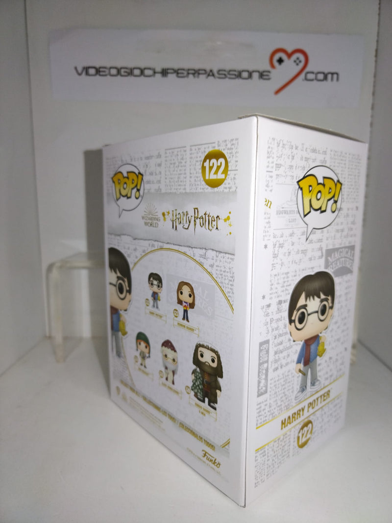 HARRY POTTER POP! HARRY POTTER 122 (8009202565422)