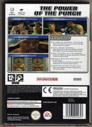 EA SPORTS FIGHT NIGHT ROUND 2 NINTENDO GAME CUBE (4656081240118)
