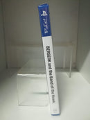 Berserk And The Band Of The Hawk - Playstation 4 Edizione Europea (4552573747254)