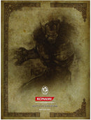 CASTLEVANIA LORDS OF SHADOW LIMITED COLLECTOR'S EDITION XBOX 360 (versione italiana) (4681103966262)