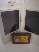 DONKEY KONG COUNTRY 2 GBA NINTENDO (4668308619318)