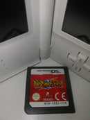 INAZUMA ELEVEN NINTENDO DS (senza custodia rubata in fiera ) (4670404788278)