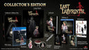 Last Labyrinth Collector's Edition Playstation 4 ( Playstation VR Necessario) Edizione Tedesca (6558057693238)