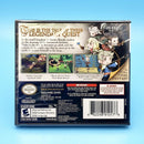 FINAL FANTASY THE 4 HEROES OF LIGHT NINTENDO DS (versione americana) (4636925132854)