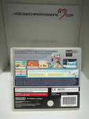 POKEMON VERSIONE ARGENTO SOULSILVER NINTENDO DS (usato)(senza manuale) (6660493770806)