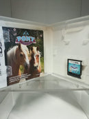 PONY FRIENDS NINTENDO DS (usato garantito) (6609589108790)