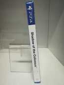 Shadow Of The Colossus Playstation 4 Edizione Europea [CON ITALIANO] (4912677552182)