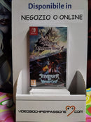 Saviors of Sapphire Wings/ Stranger of Sword City Revisited - Nintendo Switch (6543957065782)