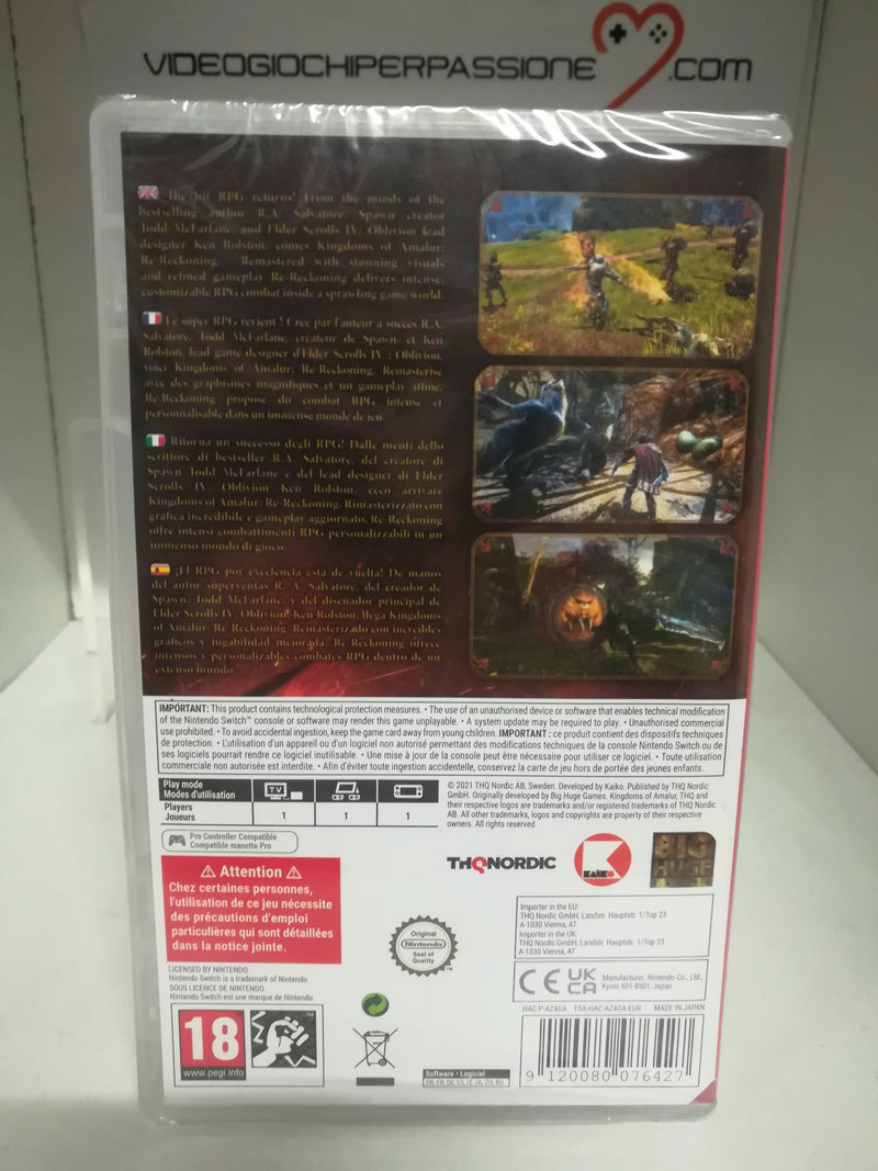 Kingdoms of Amalur Re-Reckoning Nintendo Switch Edizione Europea (4911606562870)