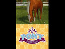 PONY FRIENDS NINTENDO DS (usato garantito)