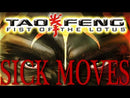 Tao Feng: Fist of the Lotus XBOX (usato garantito)