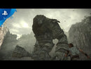 Shadow Of The Colossus Playstation 4 Edizione Europea [CON ITALIANO]
