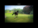 HORSEZ LA SCUDERIA NELLA VALLE NINTENDO WII EDIZIONE ITALIANA
