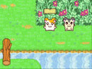 HAMTARO  HAM HAM HEARTBREAK GBA NINTENDO