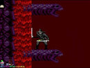 CHAKAN GAME GEAR SEGA (usato garantito)